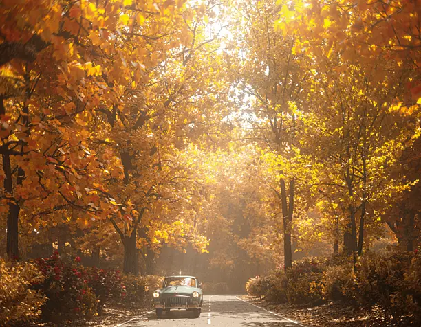 Warm soul of my autumn work