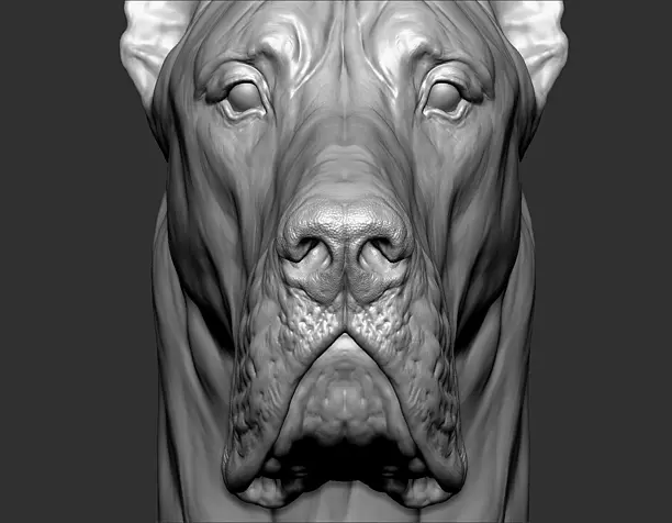 Dog Great Dane