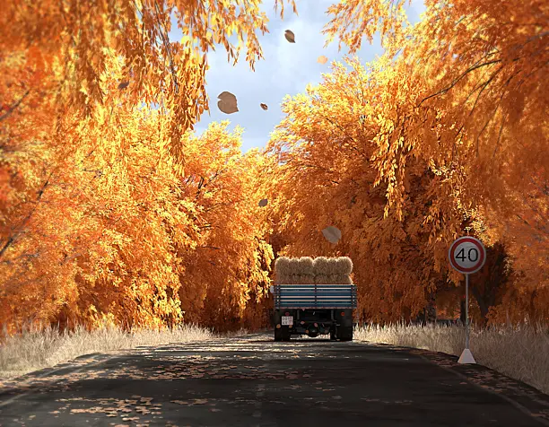 Autumn's the mellow time