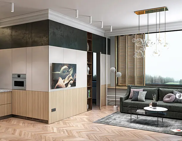 Living room kitchen