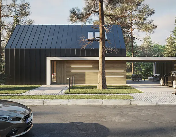 House in the forest
