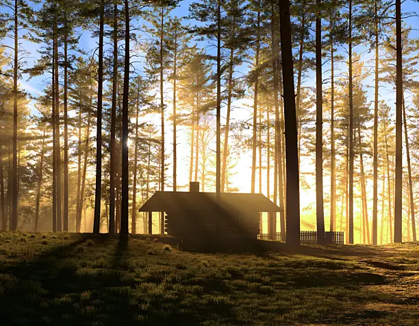 Cabin in the woods. Sunrise
