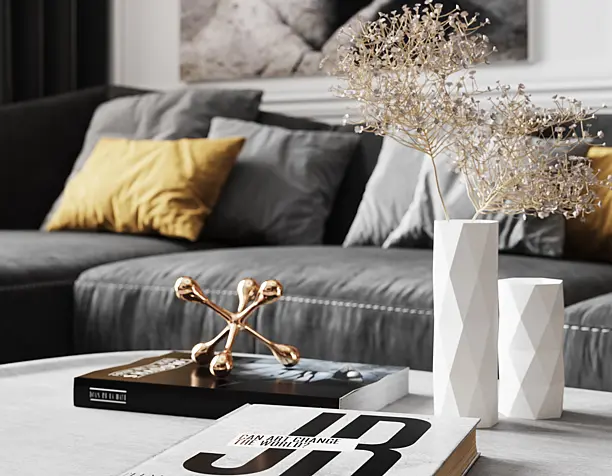 Modern interior from France