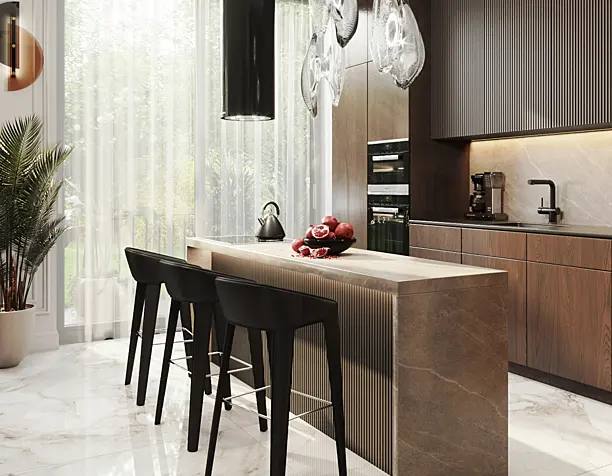 Apartment Kitchen Living Room