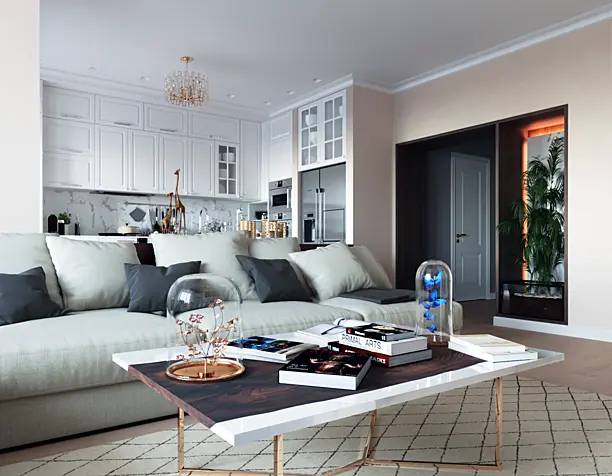 Apartment interior design