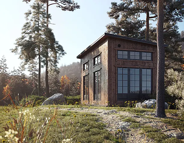 House in the forest