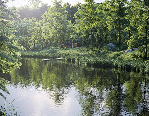 house in the forest
