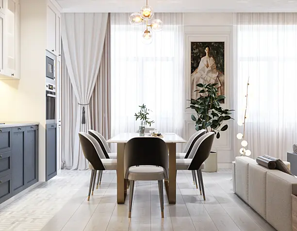 Kitchen and Livingroom Interior