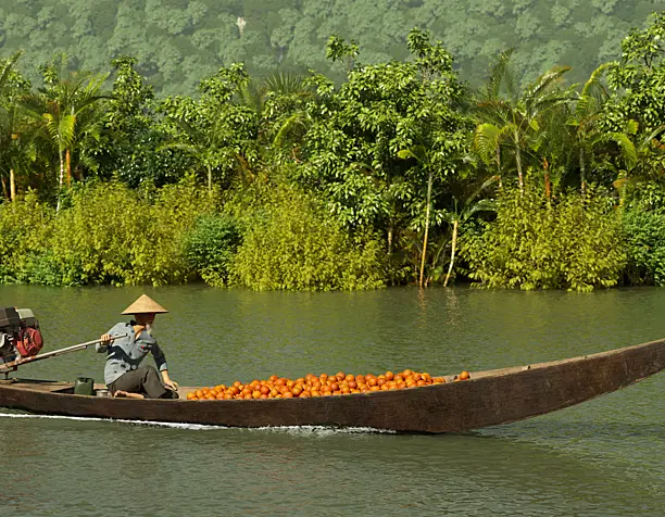 Long-tail boat