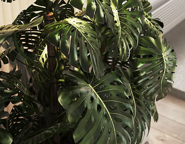 Apartment in Moldova