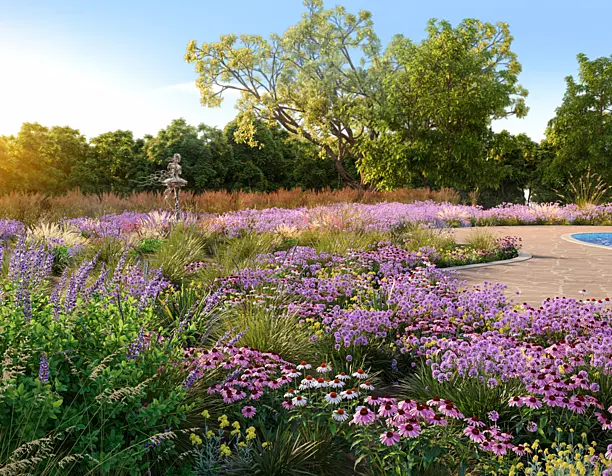 Meadow