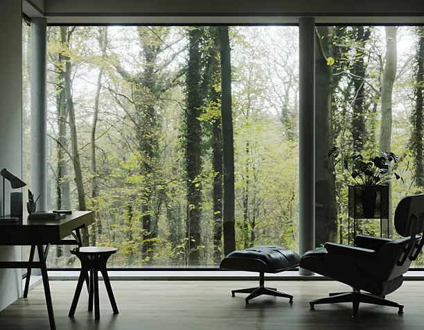 Autumn mood forest interior design