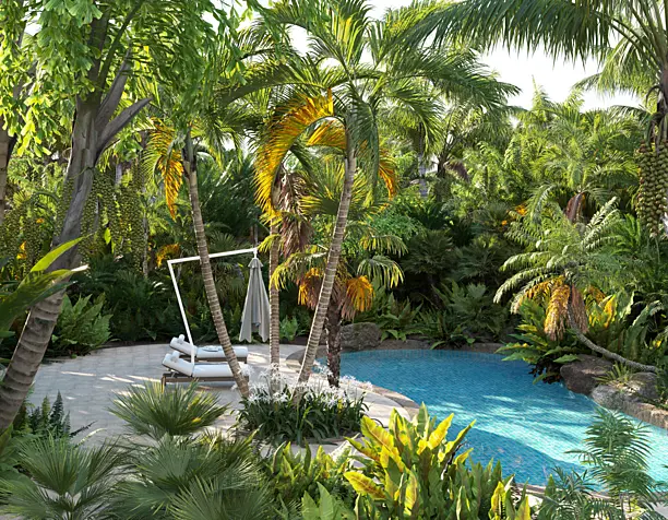 Palm garden