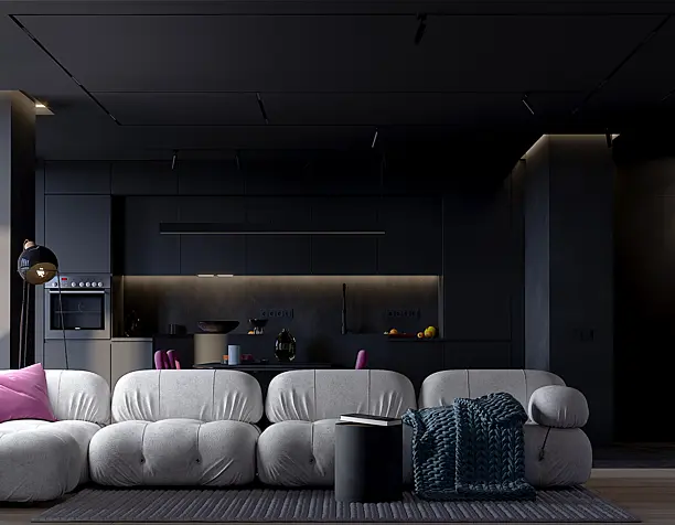 Black and White LIVING ROOM INTERIOR