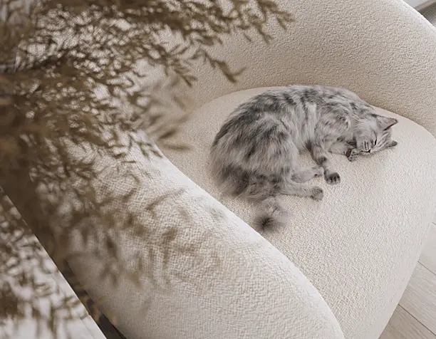 Котейка