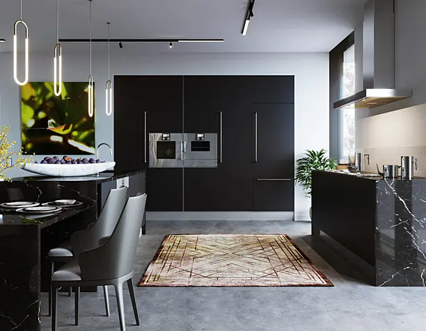 Dark Kitchen/Living room