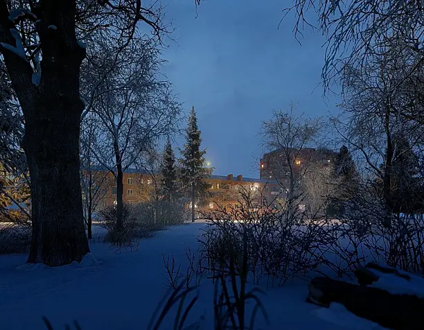winter animation (lumion testing)