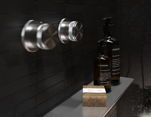 Black bathroom for bachelor
