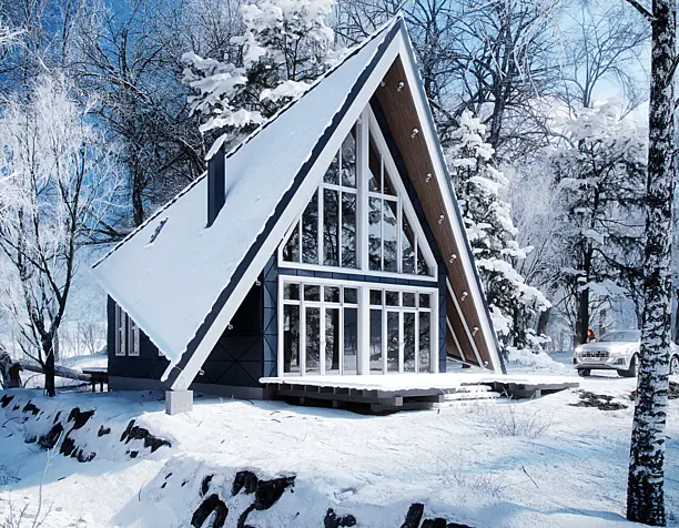 Snowy snow
