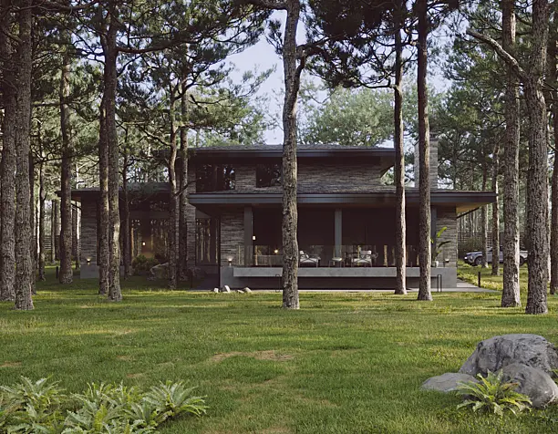 Pine forest