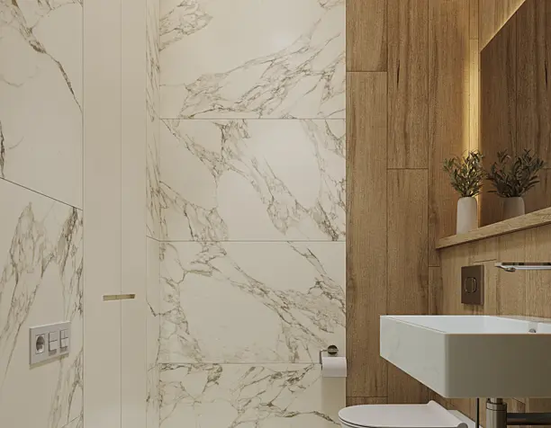 Guest bathroom