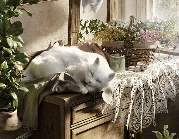 Sleeping cat