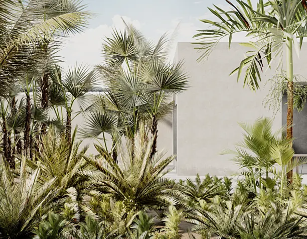 Tropics