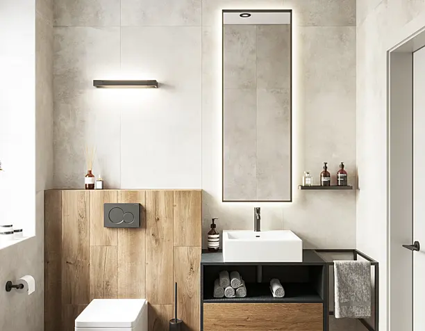 Guests Toilet for House