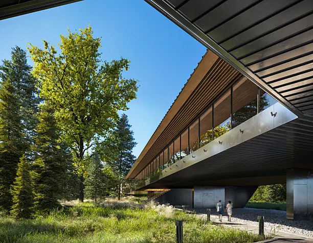 ART HOUSE IN FOREST