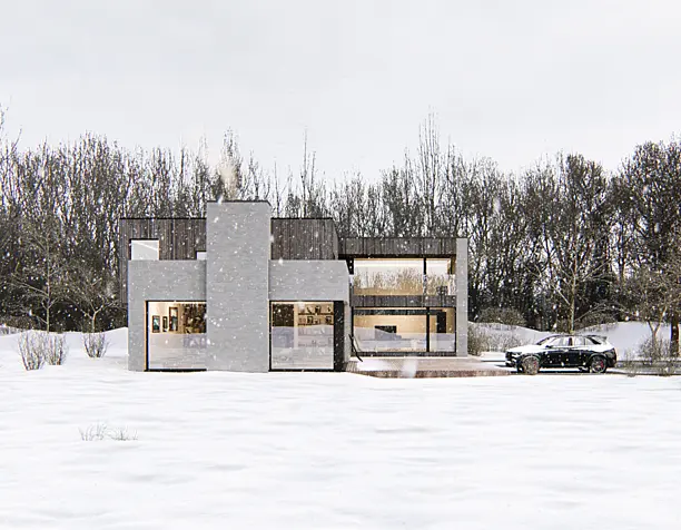 Modern house