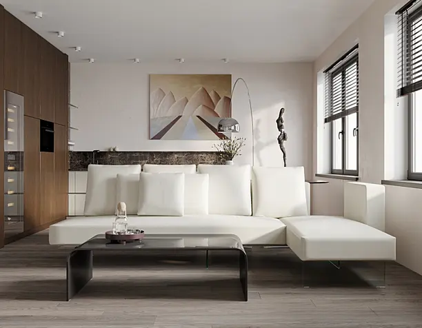 Living room + kitchen visualization