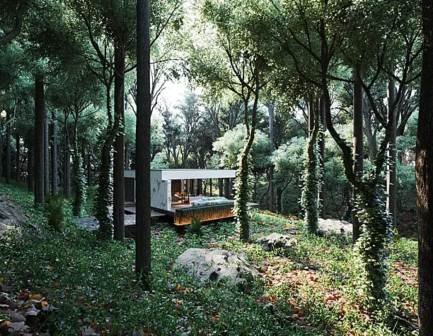 House in the woods