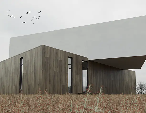Modern house