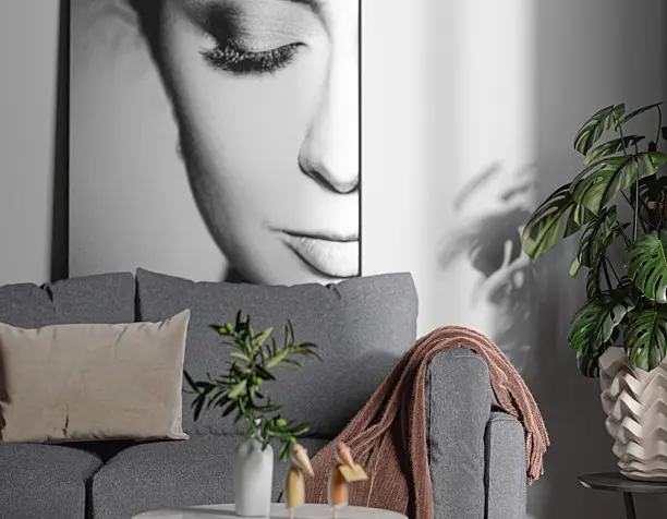 Visualization Realism