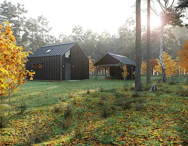 Барнхаус в осеннем лесу/Barn house in autumn forest