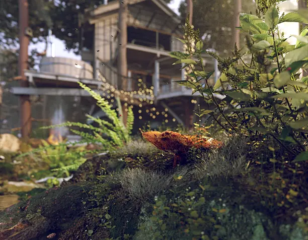 Tree house