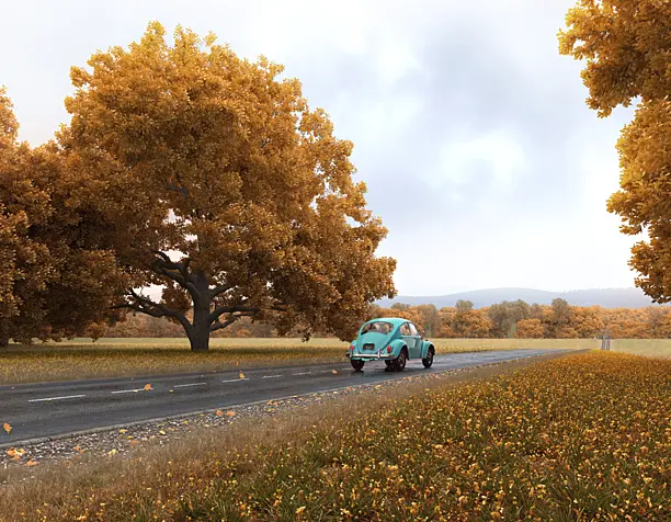 Road to the mountains