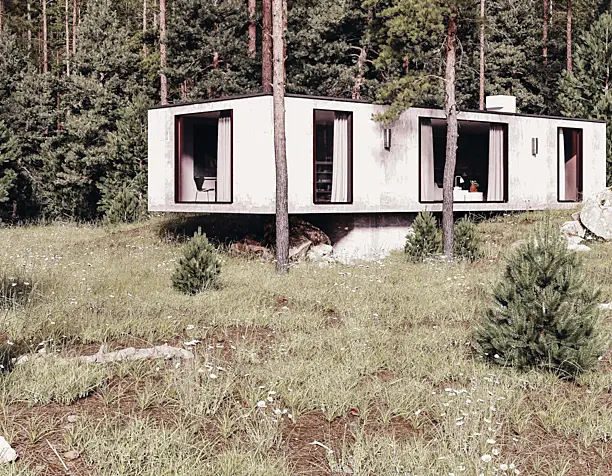 Concrete House in forest
