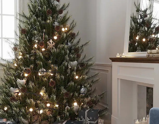 Merry Christmas!