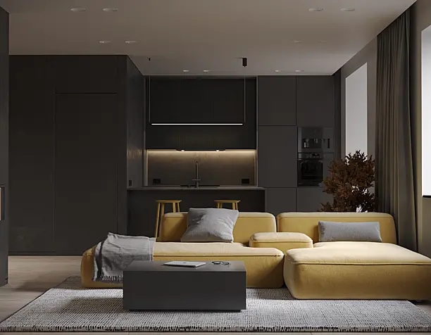 Modern apartment living room