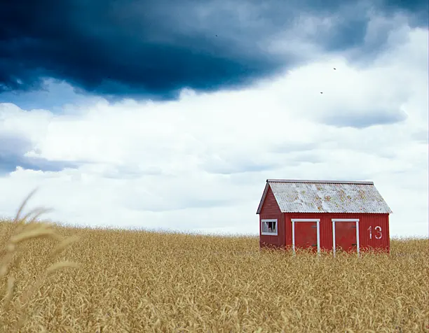 Barn in the field