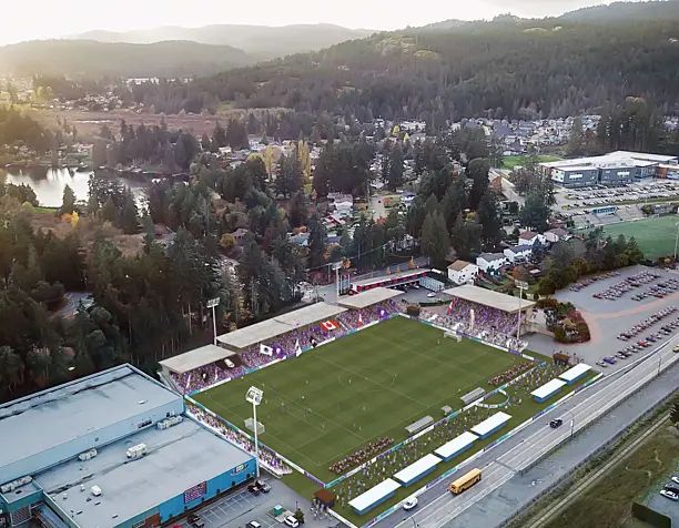 Stadium Bear