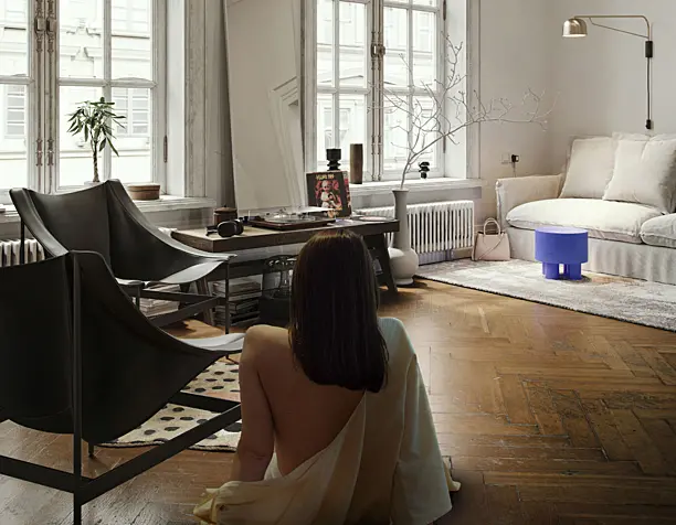 Yves Klein  LIVING ROOM PROJECT