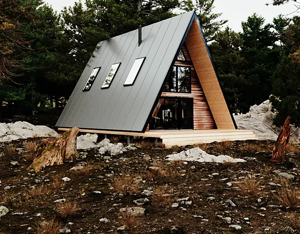 forest house