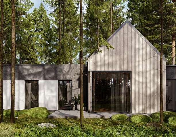 House in the spruce forest