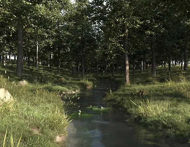 Forest
