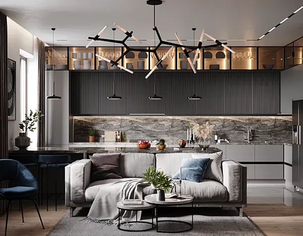 kitchen and living room