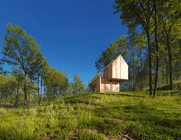 PLYWOOD HOUSE