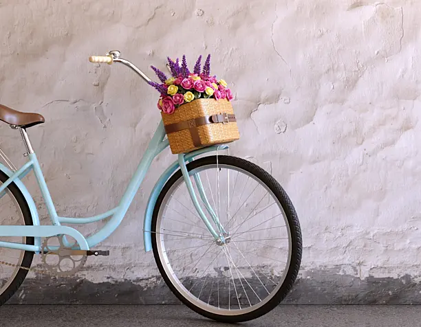 Vintage bicycle