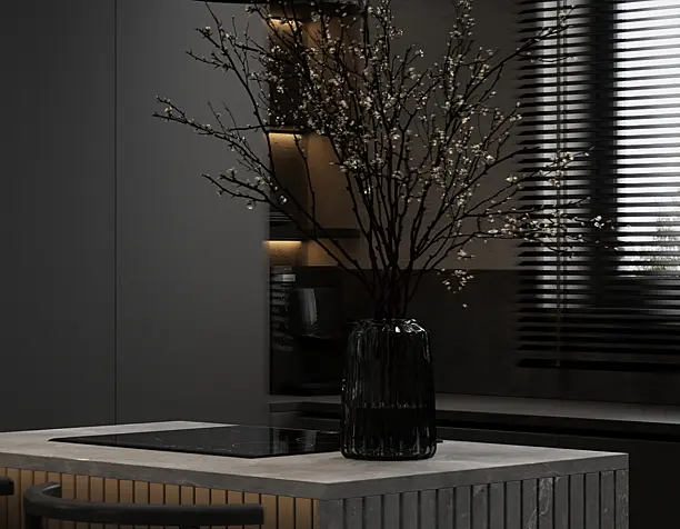 Private house in black style